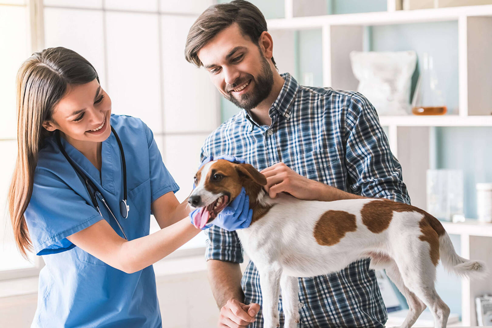 Ashland Terrace Animal Hospital