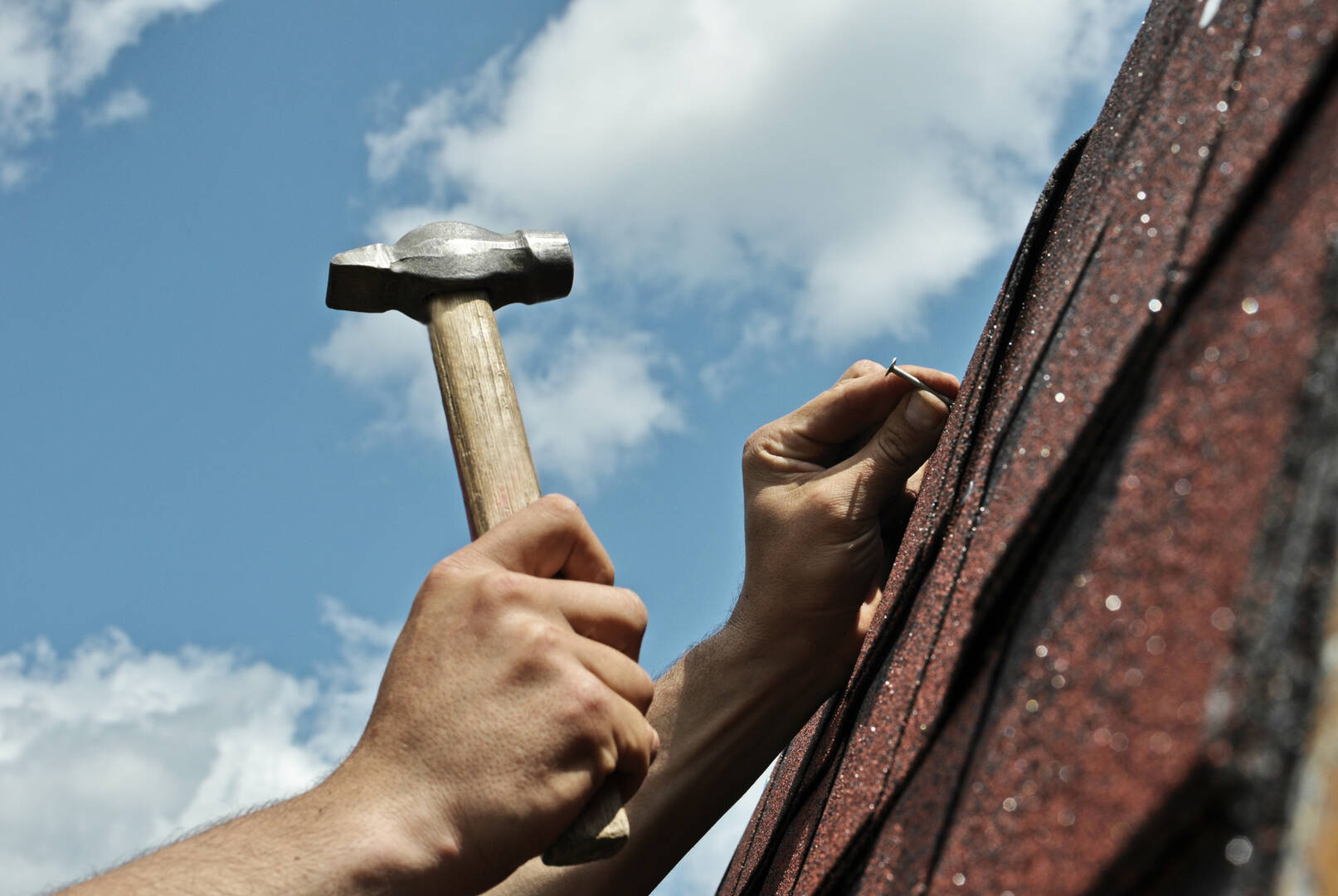 Shiloh Roofing